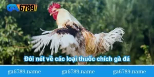 doi-net-ve-cac-loai-thuoc-chich-ga-da