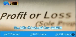 tim-hieu-ve-hoan-tra-thua-ga6789