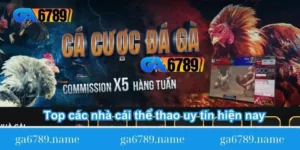 top-cac-nha-cai-the-thao-uy-tin-hien-nay